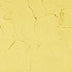 Radiant Lemon