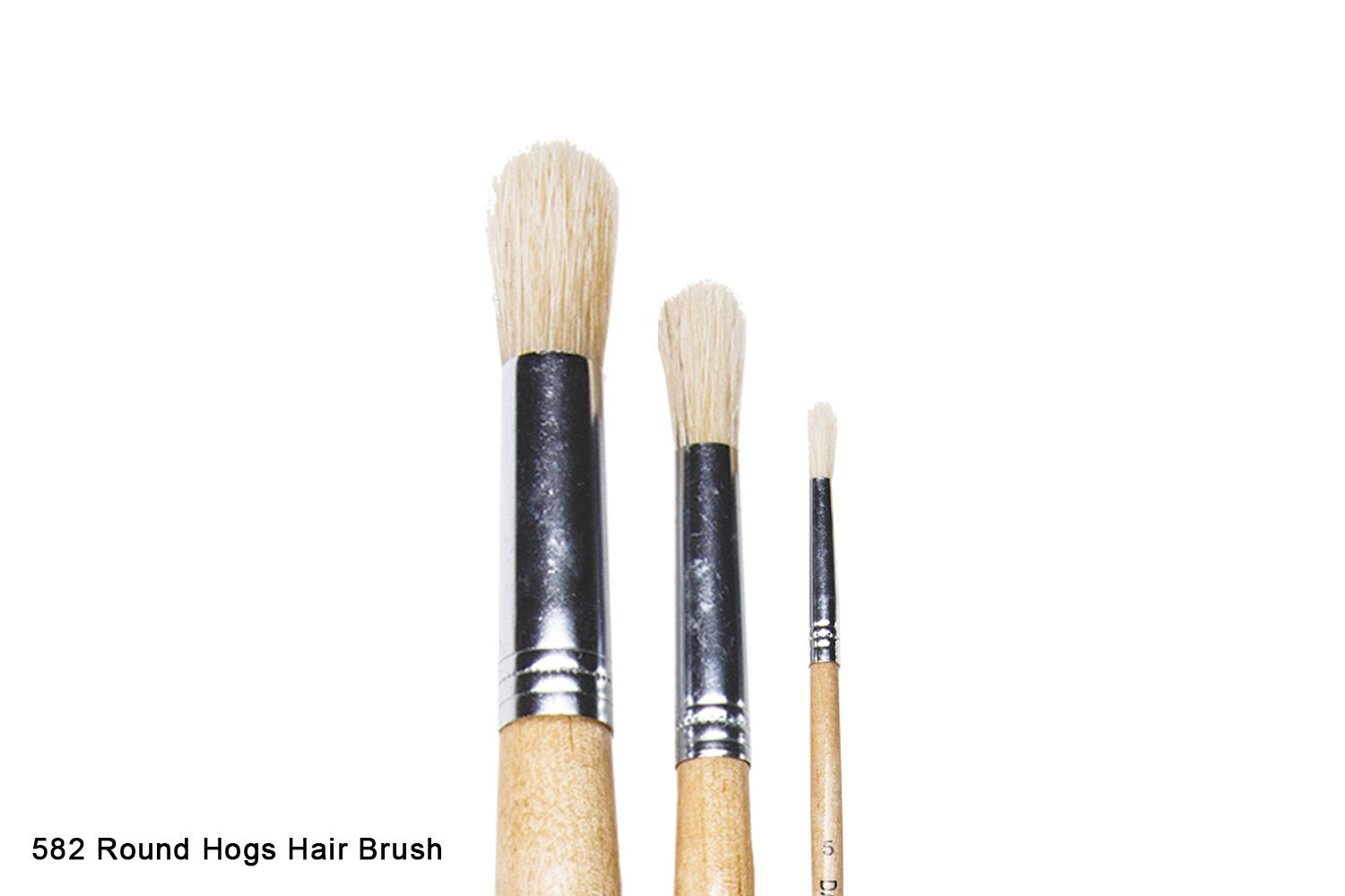 Student Bristle Brushes