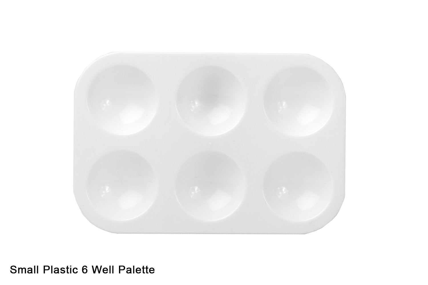 6 Well Plastic Palette