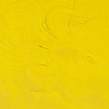 Buy cadmium-yellow-light Gamblin 1980 Oils Colours 37ml
