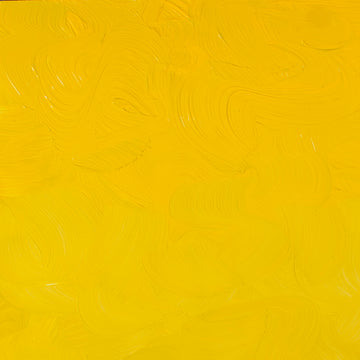 Buy cadmium-yellow-medium Gamblin 1980 Oils Colours 37ml