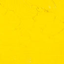 Gamblin 1980 Oils Colours 37ml-6