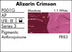 Alizarin Crimson